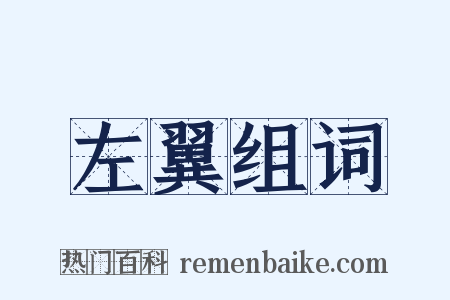 左翼组词是什么意思的图片